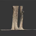 Natural Wooden Tree Stumps With Exposed Roots On Stone Paved Ground