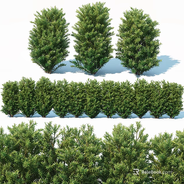 Green Lush Shrubs in Different Forms for Landscaping and Hedge Design 3d model 