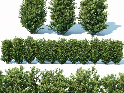 Green Lush Shrubs in Different Forms for Landscaping and Hedge Design 3d model