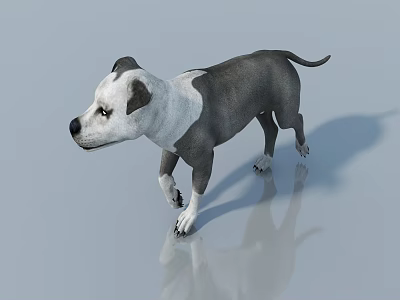 Animal character sketch 3d model Animal character sketch 3d model