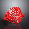 Vibrant Red And White Striped Discus Fish With Circular Shape In Dark Background