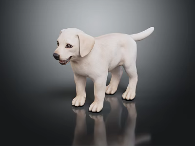 Cute White Labrador Puppy Standing on Black Shiny Surface with Reflection 3d model