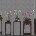 Bonsai Plants with White and Pink Orchids on Wooden Plant Stands Against Geometric Wall