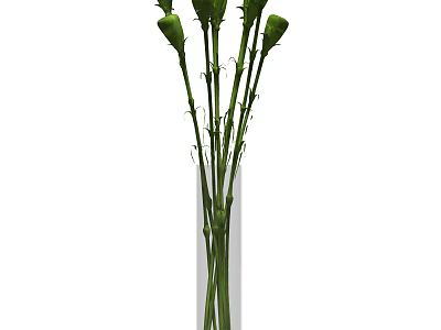 Clear Glass Vase With Fresh Green Flower Buds And Long Stems Design 3d model