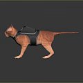 Orange Cat Wearing Black Vest Standing And Licking Tongue On Dark Reflective Surface