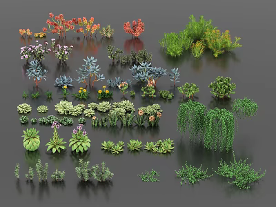 Collection of Colorful Succulent Plants With Various Shapes And Multiple Species 3d model