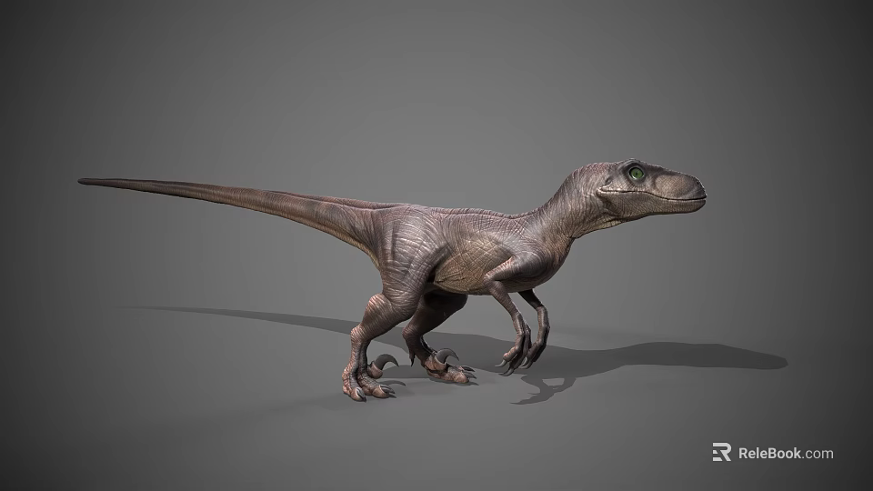 Realistic Velociraptor 3D Model Standing Pose With Green Eyes Detailed Skin And Sharp Claws 3d model 