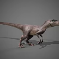 Realistic Velociraptor 3D Model Standing Pose With Green Eyes Detailed Skin And Sharp Claws