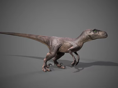 Realistic Velociraptor 3D Model Standing Pose With Green Eyes Detailed Skin And Sharp Claws 3d model