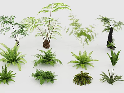 Various Fern And Green Plant Combination Featuring Different Leaf Shapes And Sizes 3d model