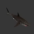 Fierce Shark Character From Game And Movie With Sharp Teeth And 3D Design