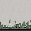 Modern Wall Washer Light Creating Wavy Light Patterns on Wall with Green Cactus Plants