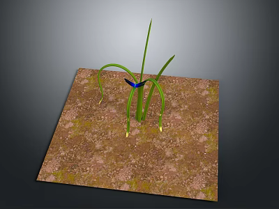 Natural Scenery of Brown Soil and Green Plant with Long Leaves and Small Blue Object 3d model