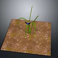 Natural Scenery of Brown Soil and Green Plant with Long Leaves and Small Blue Object