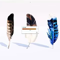 Decorative Feather Ornament Set With Natural And Colorful Design For Home Decor