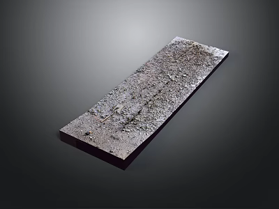 Long Rectangular Rustic Metal Plate With Rough Surface Texture And Rust Spots 3d model