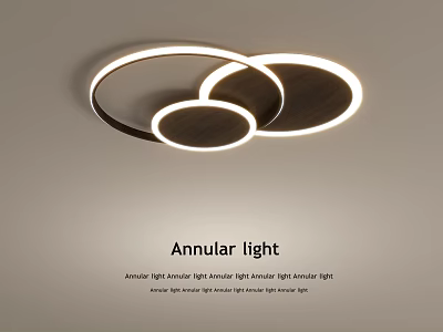 Modern Annular Ceiling Light With Circular Design 3d model