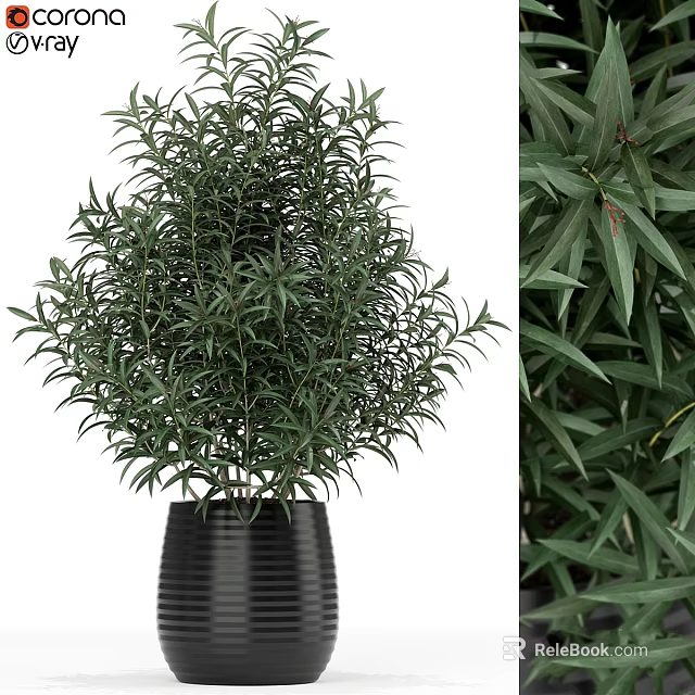 Decorative Plant Arrangement with Lush Green Foliage in Black Ribbed Pot for Indoor Home Decor 3d model 