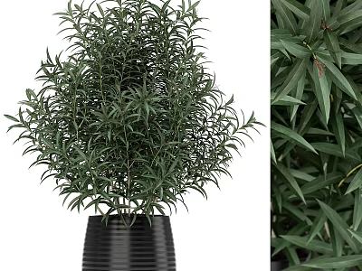 Decorative Plant Arrangement with Lush Green Foliage in Black Ribbed Pot for Indoor Home Decor 3d model