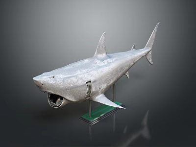 Detailed Silver Shark Model With Open Mouth On Green Base Stand 3d model