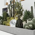 Stylish Indoor Scene With Cactus Bonsai Plants Arched Windows Moon Decoration And Blackboard