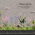 Indoor Nature and Life Landscape With Colorful Flowers and Green Plants