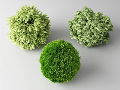 Different Types of Round Green Shrubs With Varied Foliage Textures 3d model