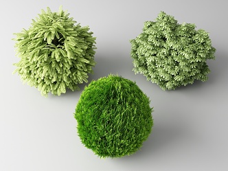 Modern shrubs 3d model