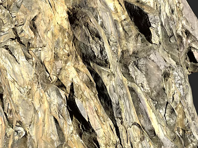 Rural Landscape Showing Rough Tree Bark With Natural Texture And Earth Tones 3d model