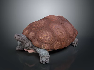 Realistic Tortoise With Brown Patterned Shell And Grey Body On Dark Background 3d model