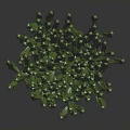 Lush Green Cactus Plant With Dense Stems And Three Dimensional Look On Dark Background