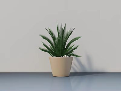 Lush Green Bonsai Potted Plant In Light Beige Pot On Shiny Tabletop 3d model