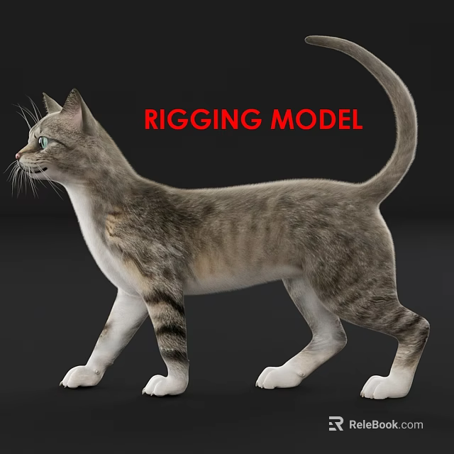 Multi Person 3D Character Rigging Model for Animation and Game Projects 3d model 