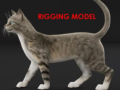 Modern Multiplayer Cat Rig Skin Wool 3d model