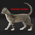 Modern Multiplayer Cat Rig Skin Wool 3d model