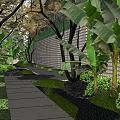 Residential Landscape With Stone Pathway Banana Trees Green Plants Bushes And Gray Brick Wall
