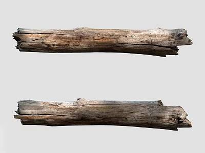 Two Natural Arbor Tree Trunks With Rough Textured Weathered Wood Surface 3d model