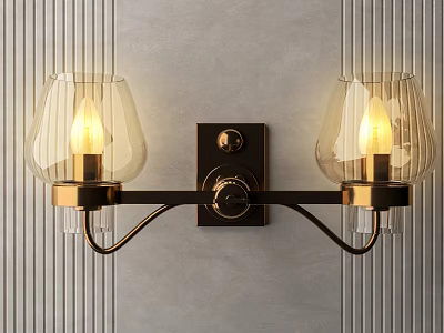Illuminated Double Light Wall Sconce with Glass Shades and Metal Frame on Gray Striped Wall 3d model