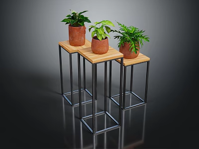 Three Potted Green Leafy Houseplants On Wooden Top Metal Leg Plant Stands 3d model