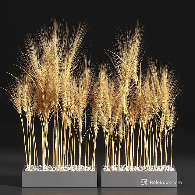 Bonsai Potted Wheat Plant with Golden Ears Slender Stems and White Pebbles Base 3d model 