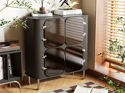 Modern Black Shoe Cabinet With Glass Doors Metal Legs And Green Plants Near Blinds 3d model