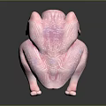 Whole Raw Chicken with Pink Color and Textured Surface on Black Background