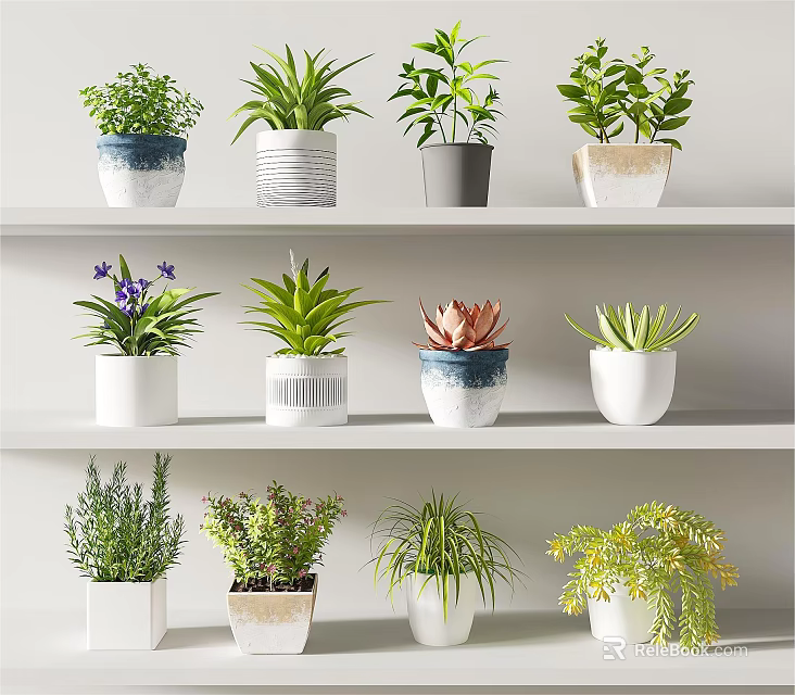 Various Decorative Bonsai Potted Plants with Different Pots on White Shelves 3d model 
