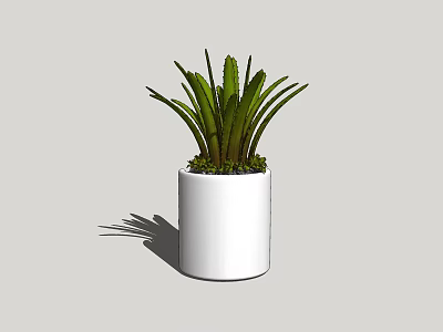 Indoor Potted Plant With Green Long Leaves In White Cylindrical Pot 3d model