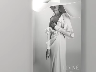 Artistic Portrait of Elegant Woman in Wide Brim Hat and Long Dress with Soft Lighting 3d model