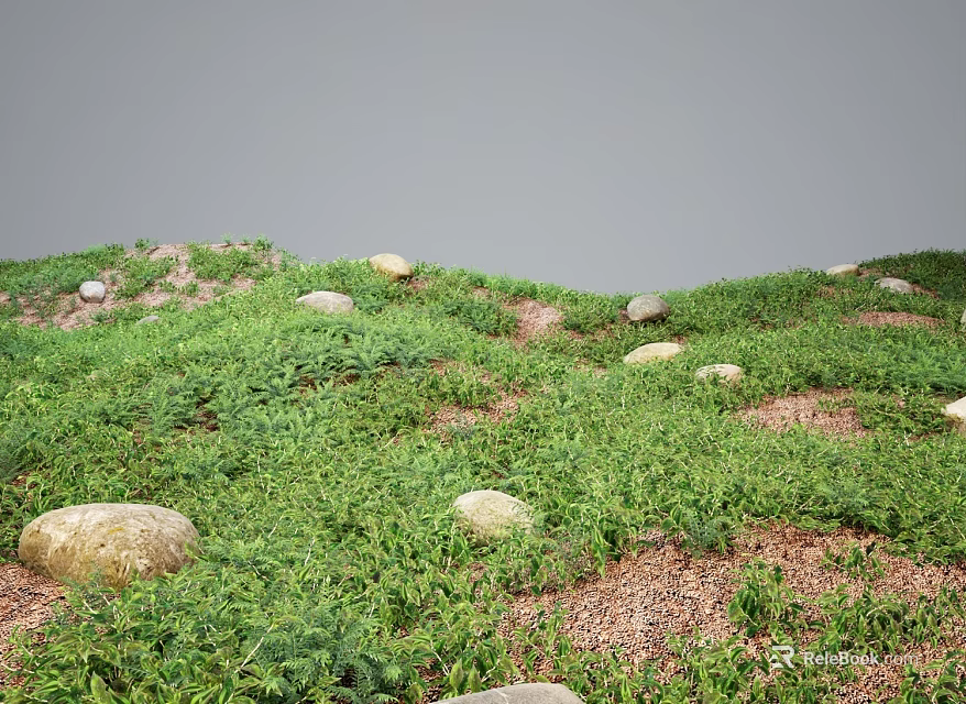Lush Green Grass and Plants in Natural Scenic Landscape with Scattered Stones 3d model 