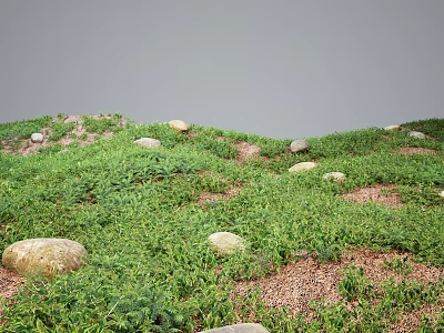 Lush Green Grass and Plants in Natural Scenic Landscape with Scattered Stones 3d model