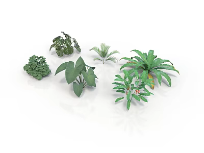 Various Indoor Plants With Different Green Leafy Species For Home Decoration 3d model