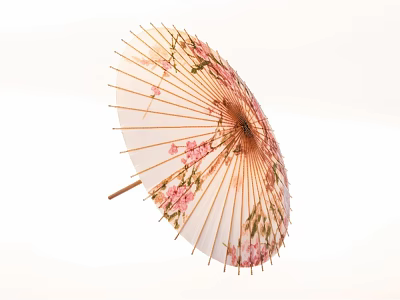 Traditional Handcrafted Decorative Ornament Set With Pink Cherry Blossom Oil Paper Umbrella 3d model