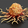 cancer cells tumor cytopathic cell medical ornaments 3d model